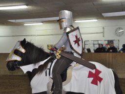 DSC_0300_web